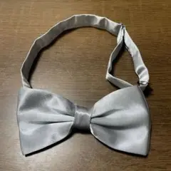 Item thumbnail for item bf683d4c-0de0-45e7-b6cd-39eb467b111f