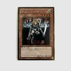 異次元の女戦士　遊戯王OCGカード