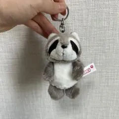 【日本未発売】 NICI ニキ アライグマ 山田涼介 キーホルダー ぬいぐるみ 日本未発売】 NICI ニキ アライグマ 山田涼介 キーホルダー