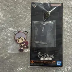 ハイキュー!! 一番くじ F、H賞 北信介