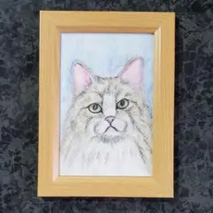 水彩色鉛筆画＊顔色を伺う茶白猫ちゃん＊ハガキサイズ＊額縁付き
