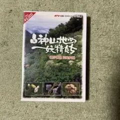 白神山地の妖精たち