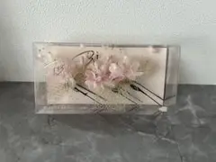 Item thumbnail for item a84328fd-ba4c-443c-86cc-326ff1bf2a5c