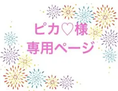 ピカ♡様 リクエスト 2点 まとめ商品