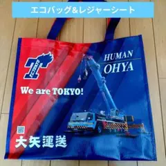 3枚セット！非売品 FC東京と大矢運送のコラボエコバッグとレジャーシート
