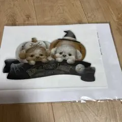 Item thumbnail for item 66b50c24-6ebc-40dc-b934-f831c31628aa