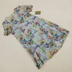 Item thumbnail for item 3c0817f7-3647-4706-a44b-b2556af7c2e2