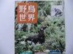 2025年最新】週刊 野鳥の世界の人気アイテム - メルカリ