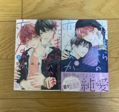 たまらないのは恋なのか　2巻セット　BL漫画　BLコミック