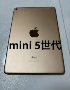 iPad mini 第5世代 Wi-Fi+Cellular mini5
