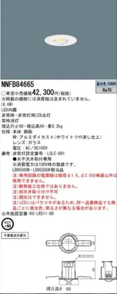 Panasonic NNFB 84665 LED照明器具 100V