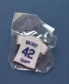 中日ドラゴンズ♡BRIGHT健太選手 42♡ピンバッジ