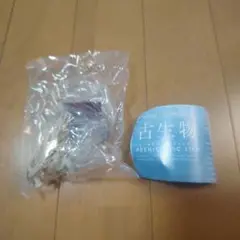 ネイチャーテクニカラー　古生物　トリケラトプス(骨格標本色)