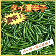 ★激辛タイ唐辛子450g★三重県産★新鮮野菜★青唐辛子 青南蛮