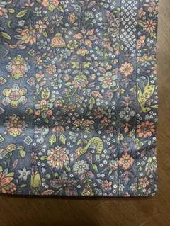 Item thumbnail for item 3aad861b-504e-44b3-9a07-cd065c43be8b