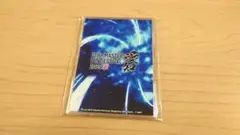 デュエルマスターズ フルプロテクトスリーブ ファンフェス ローダー 愛知