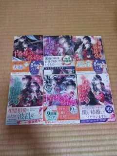 十番様の縁結び 神在花嫁綺譚　 東堂 燦 　小説　処分早い者勝ち　セット　美品