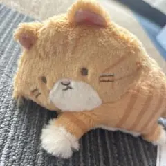よこみぞゆりの　なんでもいきもの　ねこ　ぬいぐるみ