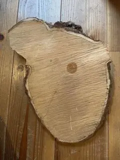 Item thumbnail for item 9f5782b5-a171-4342-bc4d-402abd837d6c