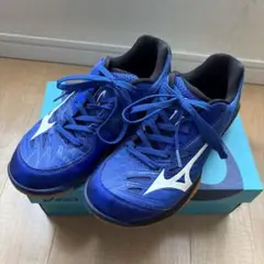 Item thumbnail for item f86fe864-da27-4e1c-b05c-9684f53d26ad