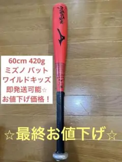 ミズノ ワイルドキッズ 60cm