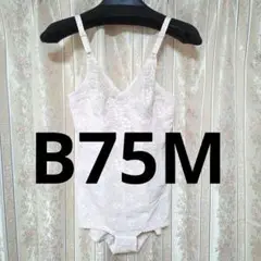 Item thumbnail for item be5e011a-66d7-4a71-858b-209b5fdf9e4e