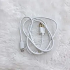 匿名配送❣️USB タイプC ケーブル　ホワイト　1個　スマホ　ゲーム機