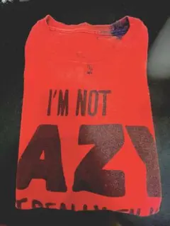 USA古着Tシャツ Lサイズ程 used OLD カレッジ レトロ