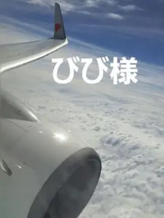 びび様