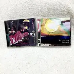 CD EGO-WRAPPIN' 2枚セット 色彩のブルース 満ち汐のロマンス