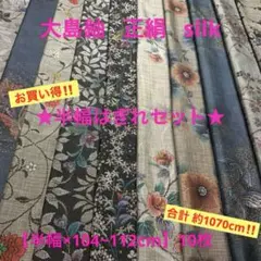 Item thumbnail for item 5c65c8c7-58a3-45ab-806d-6275907495ea
