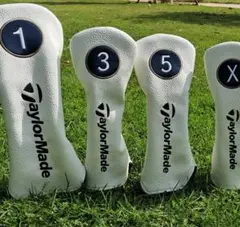 Item thumbnail for item a850c32b-a969-43c1-9835-d4403f065acc