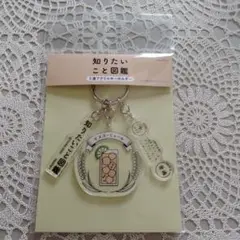 知りたいこと図鑑　3連アクリルキーホルダー