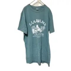 2597 Stua プリントTシャツ XL ウズベキスタン　ブルーグリーン