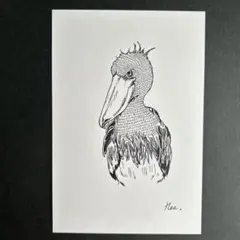 ボールペン画　ハシビロコウ