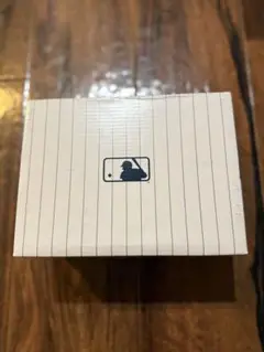 MLB シューズボックス　キッズ　値札入り