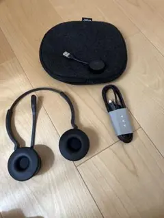 Item thumbnail for item 489558c4-6bc1-44f9-825b-ee547df3d029