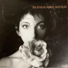 ケイト・ブッシュ KATE BUSH THE SINGLE FILE 美品 KATE BUSH THE SINGLE FILE 1978〜1983 13枚組Ω
