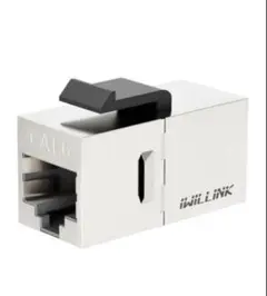 iwillink Cat6カプラー RJ45 Cat6シールドカプラー 10個