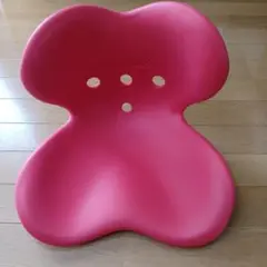 Style Kids スタイルキッズ Lサイズ 姿勢矯正