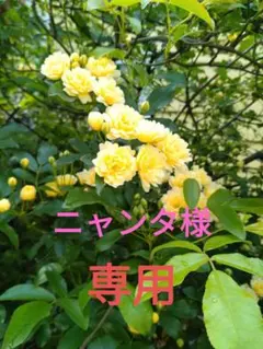 ファイル2点セット