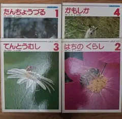 しぜんのせかい　児童書絵本