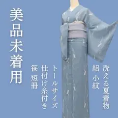 m1814＊美品未着用 洗える夏着物 絽 笹 短冊 仕付け糸付き トール 小紋