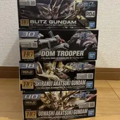 2025年最新】HG 1/144 ドムトルーパー (機動戦士ガンダムSEED