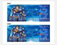 Item thumbnail for item 6e6608cd-5112-448a-abff-0e3f94e59afc