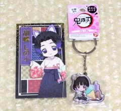 【2点セット】鬼滅の刃 胡蝶しのぶ 栗花落カナヲ グッズ