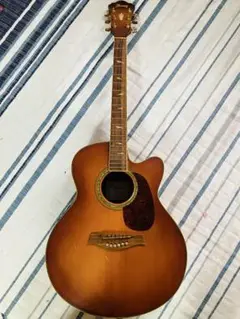 2025年最新】IBANEZ AELの人気アイテム - メルカリ