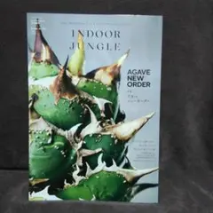 2025年最新】indoor jungle アガベの人気アイテム - メルカリ