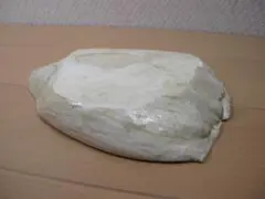 マッコウクジラ　骨　彫刻材料　352g