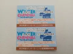 ひらかたパーク ウィンターカーニバル入園券貸靴 2人分